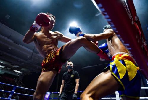 0214d172-6a72-4774-9cdc-5f4db5d6029f